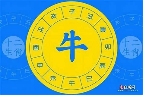 1984 五行|1984年五行属什么？1984年出生是什么命？